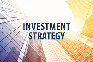 Investment Insights Monthly Newsletter – November 2024